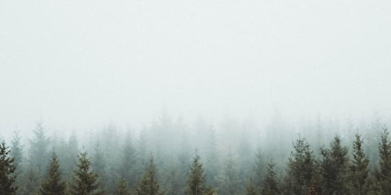 Inner Life & Meaning