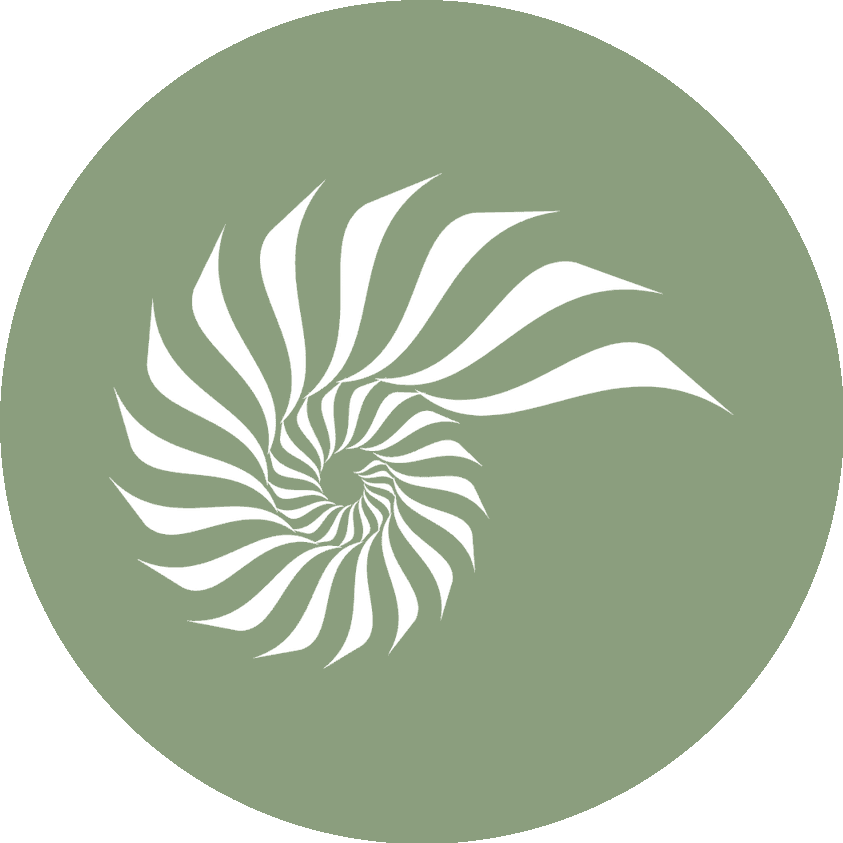 The Evaligned nautilus shell